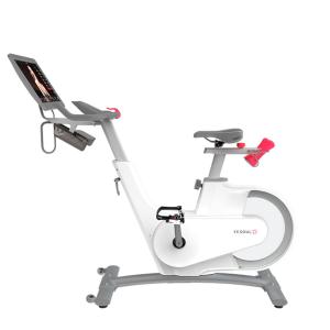 Купить Велотренажер Yesoul BV1-W PLUS в Котласе 